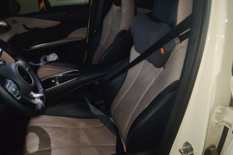 Used BYD Dolphin 2024 Honor Edition 420km Fashion Version Left Front Seat