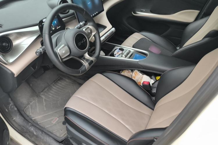 Used BYD Dolphin 2024 Honor Edition 420km Fashion Version Left Front Seat