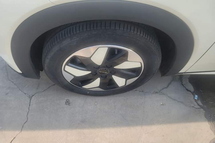 Used BYD Dolphin 2024 Honor Edition 420km Freedom Version Left Front Wheel Hub