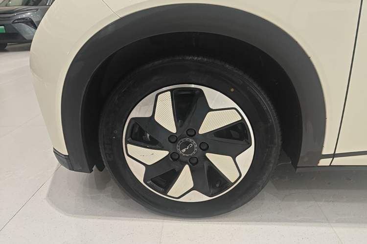 Used BYD Dolphin 2024 Honor Edition 420km Fashion Version Left Front Wheel Hub