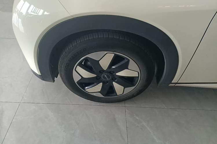 Used BYD Dolphin 2024 Honor Edition 420km Fashion Version Left Front Wheel Hub