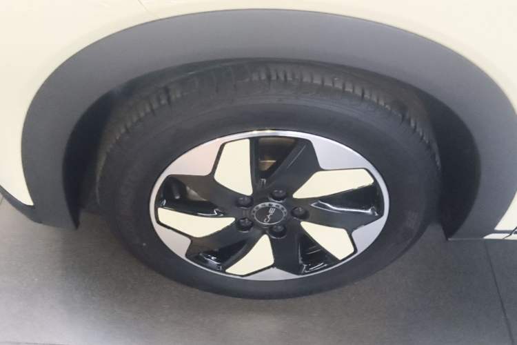 Used BYD Dolphin 2024 Honor Edition 420km Freedom Version Left Front Wheel Hub