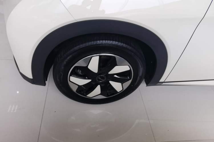 Used BYD Dolphin 2024 Honor Edition 420km Fashion Version Left Front Wheel Hub