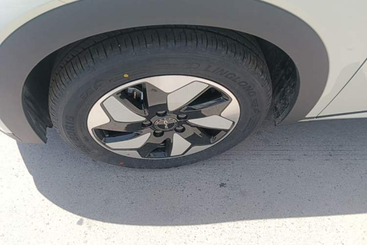 Used BYD Dolphin 2024 Honor Edition 420km Freedom Version Left Front Wheel Hub