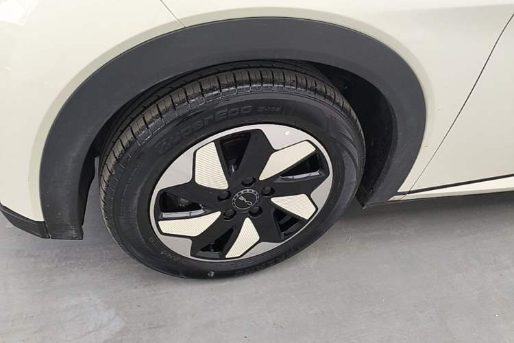 Used BYD Dolphin 2024 Honor Edition 420km Fashion Version Left Front Wheel Hub