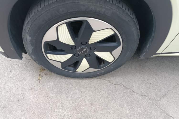 Used BYD Dolphin 2024 Honor Edition 420km Fashion Version Left Front Wheel Hub