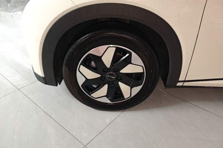 Used BYD Dolphin 2024 Honor Edition 420km Fashion Version Left Front Wheel Hub