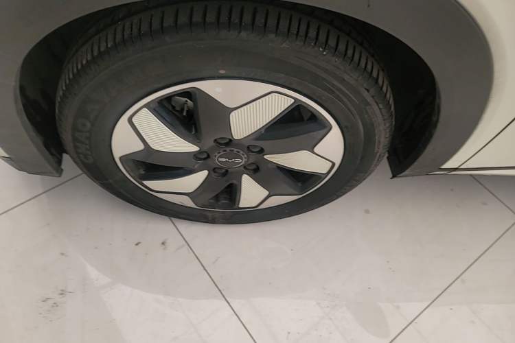 Used BYD Dolphin 2024 Honor Edition 420km Freedom Version Left Front Wheel Hub