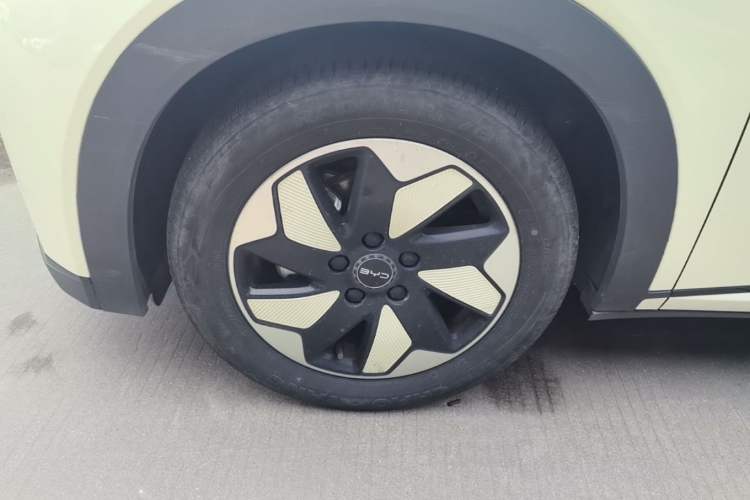 Used BYD Dolphin 2024 Honor Edition 420km Freedom Version Left Front Wheel Hub