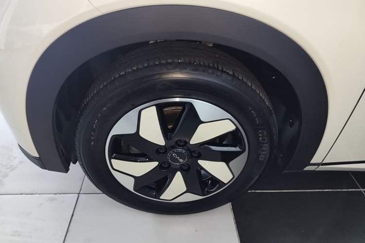 Used BYD Dolphin 2024 Honor Edition 420km Freedom Version Left Front Wheel Hub