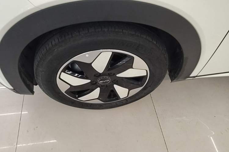 Used BYD Dolphin 2024 Honor Edition 420km Freedom Version Left Front Wheel Hub