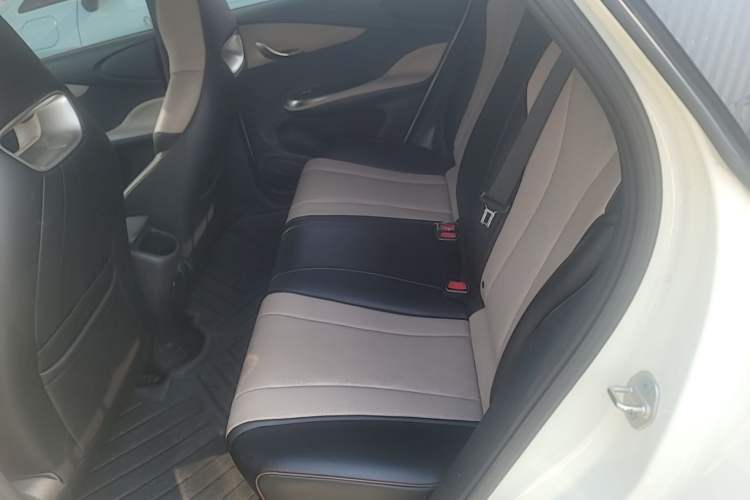 Used BYD Dolphin 2024 Honor Edition 420km Freedom Version Left Rear Seat