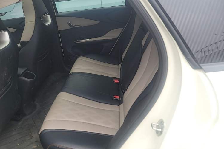 Used BYD Dolphin 2024 Honor Edition 420km Fashion Version Left Rear Seat
