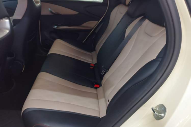 Used BYD Dolphin 2024 Honor Edition 420km Freedom Version Left Rear Seat