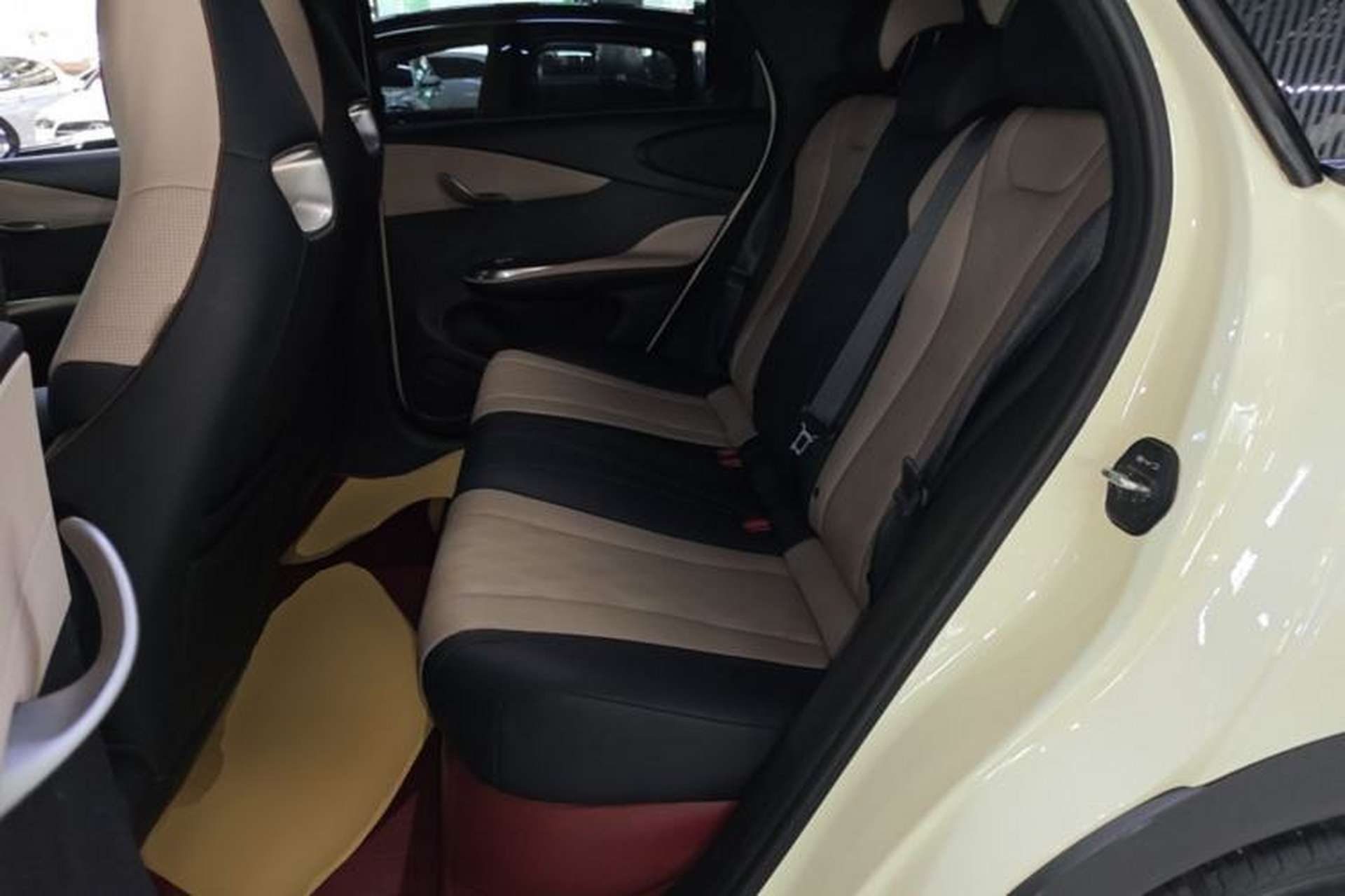 Used BYD Dolphin 2024 Honor Edition 420km Freedom Version Left Rear Seat