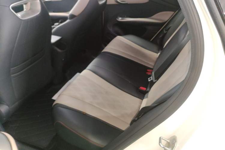 Used BYD Dolphin 2024 Honor Edition 420km Fashion Version Left Rear Seat