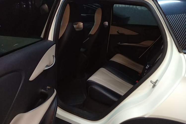 Used BYD Dolphin 2024 Honor Edition 420km Freedom Version Left Rear Seat