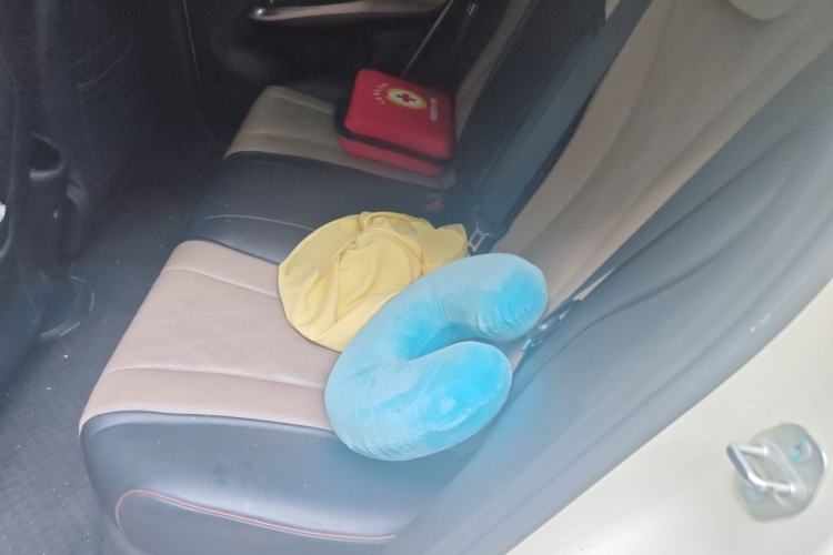 Used BYD Dolphin 2024 Honor Edition 420km Fashion Version Left Rear Seat