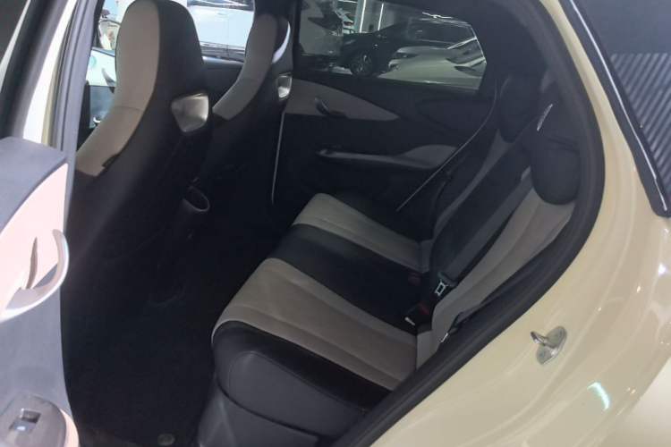 Used BYD Dolphin 2024 Honor Edition 420km Fashion Version Left Rear Seat