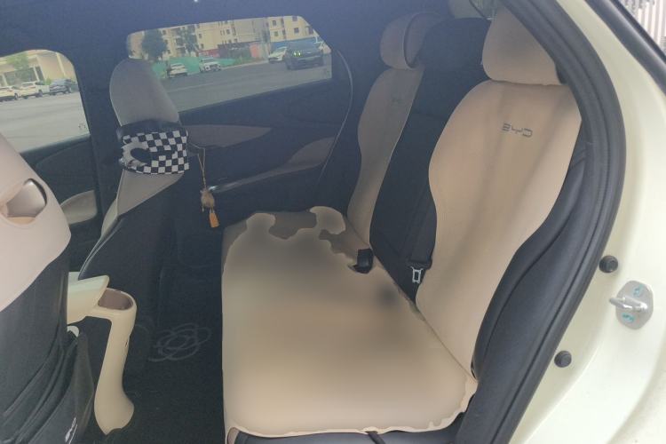 Used BYD Dolphin 2024 Honor Edition 420km Fashion Version Left Rear Seat
