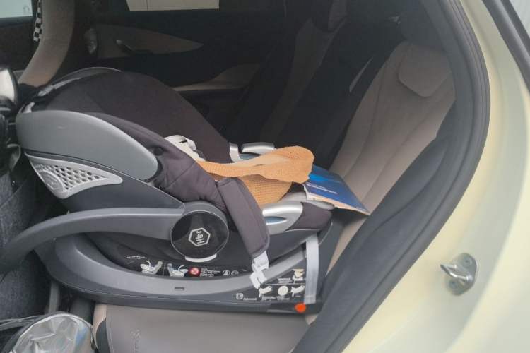 Used BYD Dolphin 2024 Honor Edition 420km Fashion Version Left Rear Seat