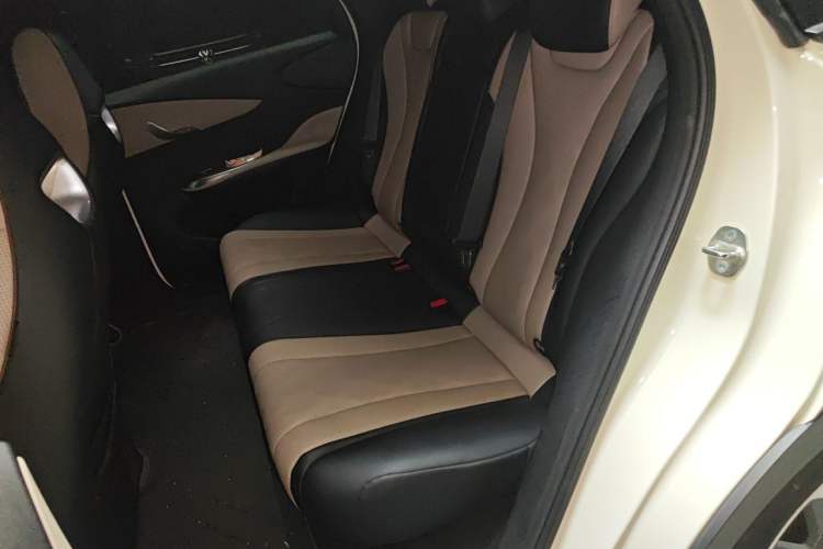 Used BYD Dolphin 2024 Honor Edition 420km Fashion Version Left Rear Seat