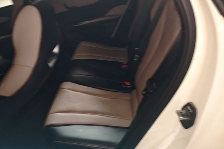 Used BYD Dolphin 2024 Honor Edition 420km Freedom Version Left Rear Seat