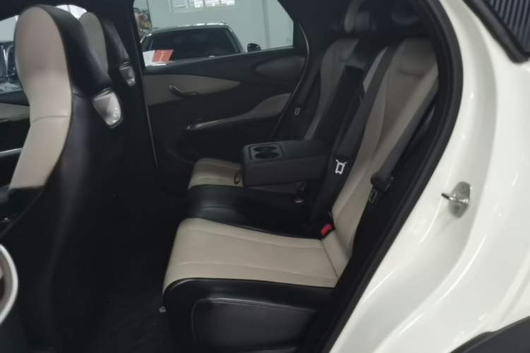 Used BYD Dolphin 2024 Honor Edition 420km Fashion Version Left Rear Seat