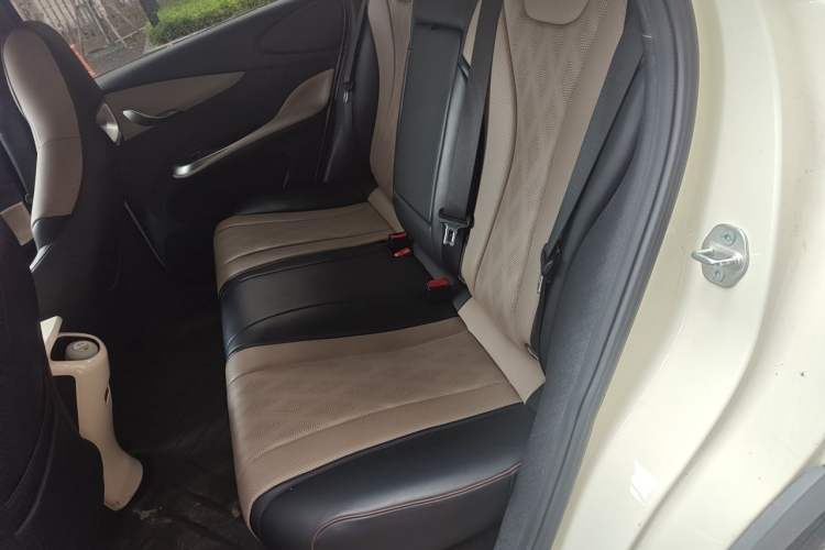 Used BYD Dolphin 2024 Honor Edition 420km Freedom Version Left Rear Seat