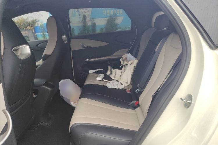 Used BYD Dolphin 2024 Honor Edition 420km Fashion Version Left Rear Seat