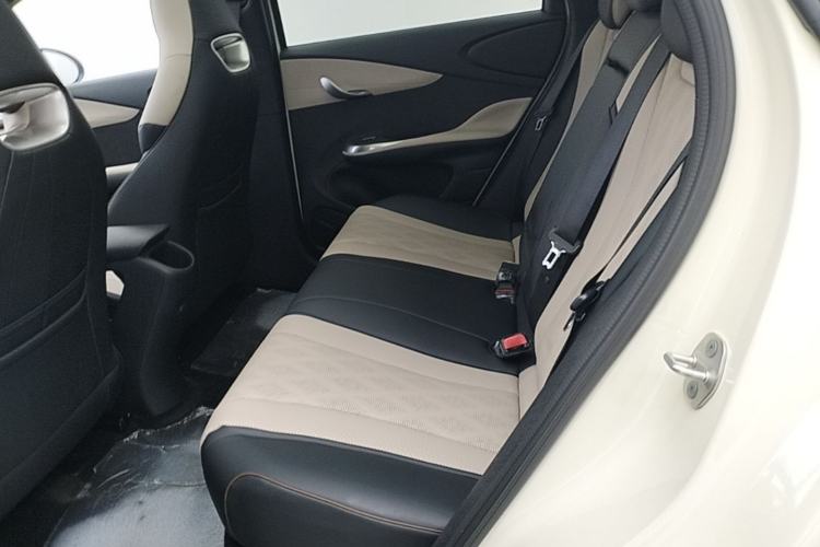 Used BYD Dolphin 2024 Honor Edition 420km Fashion Version Left Rear Seat