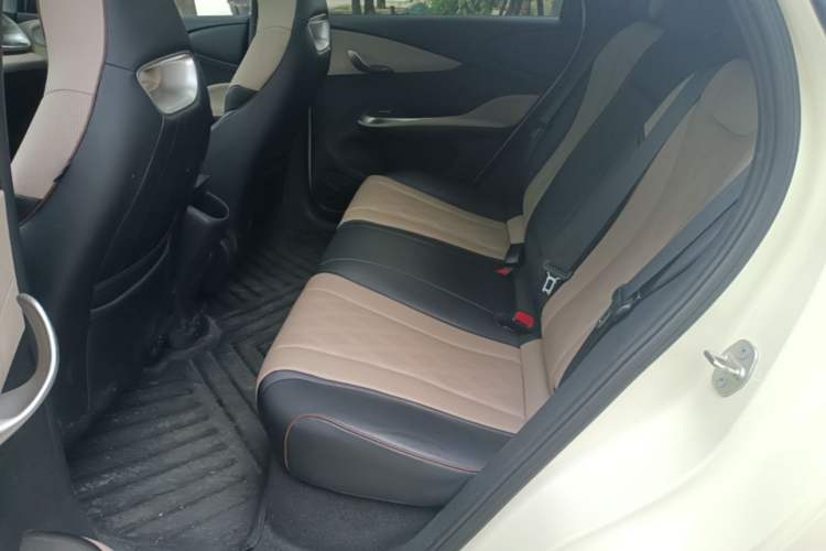 Used BYD Dolphin 2024 Honor Edition 420km Fashion Version Left Rear Seat