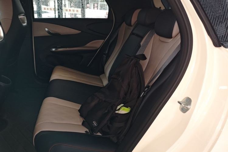 Used BYD Dolphin 2024 Honor Edition 420km Fashion Version Left Rear Seat