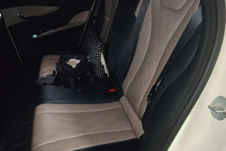 Used BYD Dolphin 2024 Honor Edition 420km Fashion Version Left Rear Seat