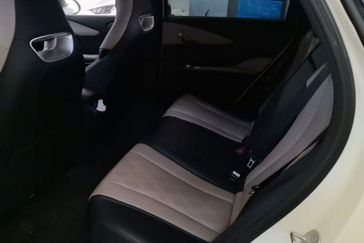 Used BYD Dolphin 2024 Honor Edition 420km Fashion Version Left Rear Seat