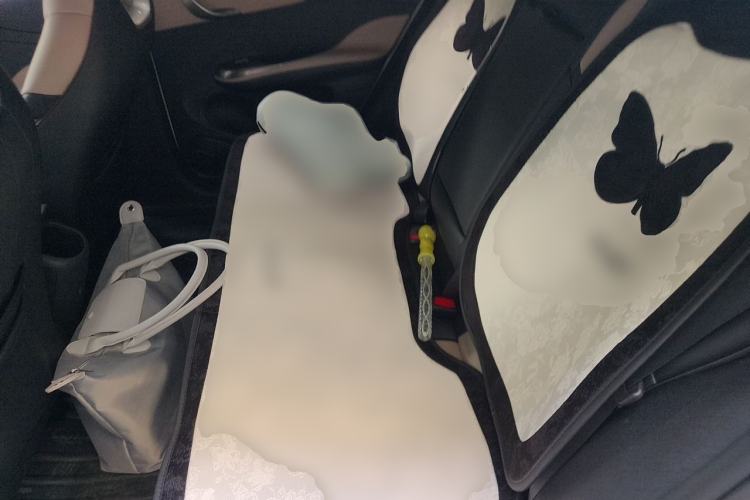 Used BYD Dolphin 2024 Honor Edition 420km Fashion Version Left Rear Seat