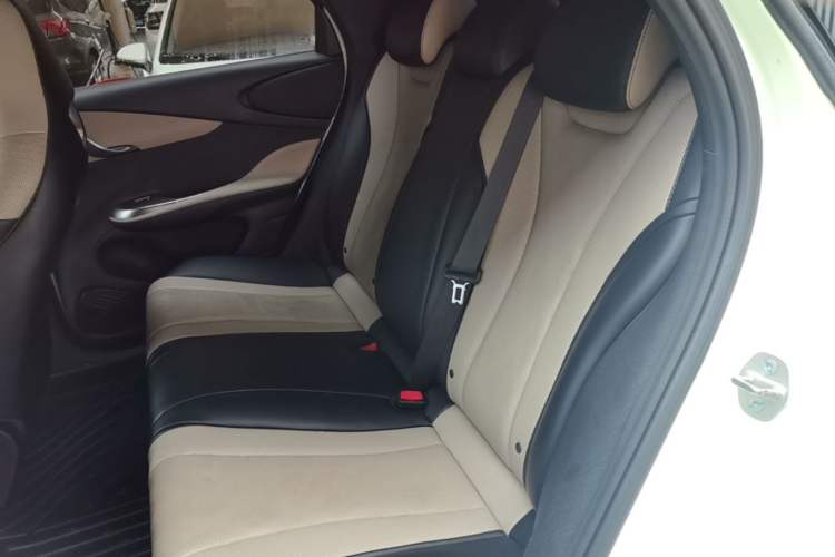 Used BYD Dolphin 2024 Honor Edition 420km Freedom Version Left Rear Seat