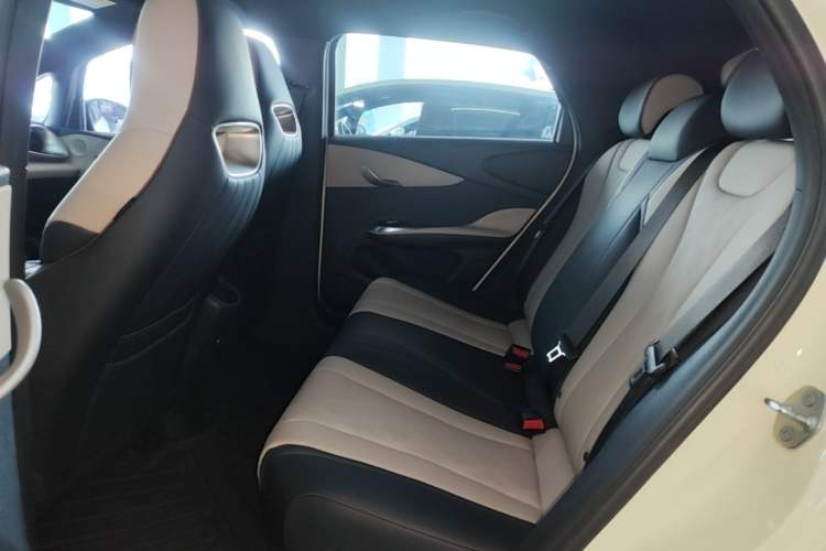 Used BYD Dolphin 2024 Honor Edition 420km Freedom Version Left Rear Seat