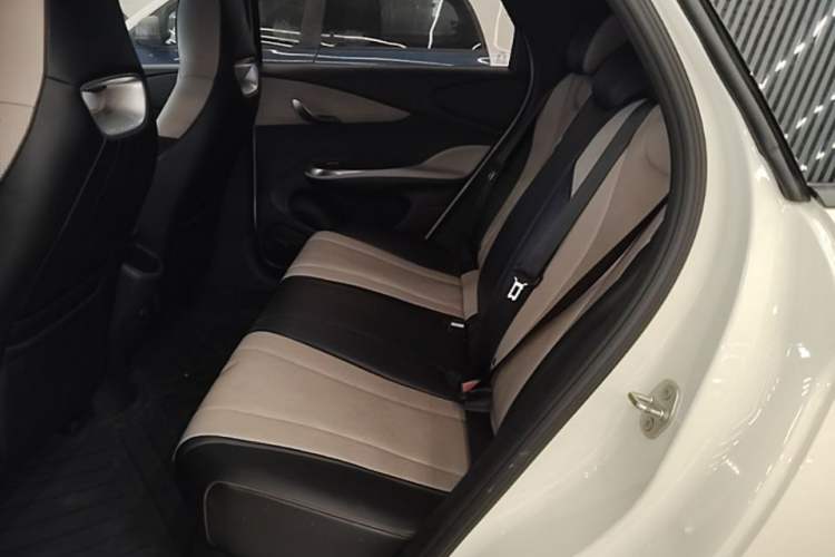 Used BYD Dolphin 2024 Honor Edition 420km Freedom Version Left Rear Seat