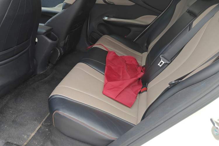 Used BYD Dolphin 2024 Honor Edition 420km Fashion Version Left Rear Seat
