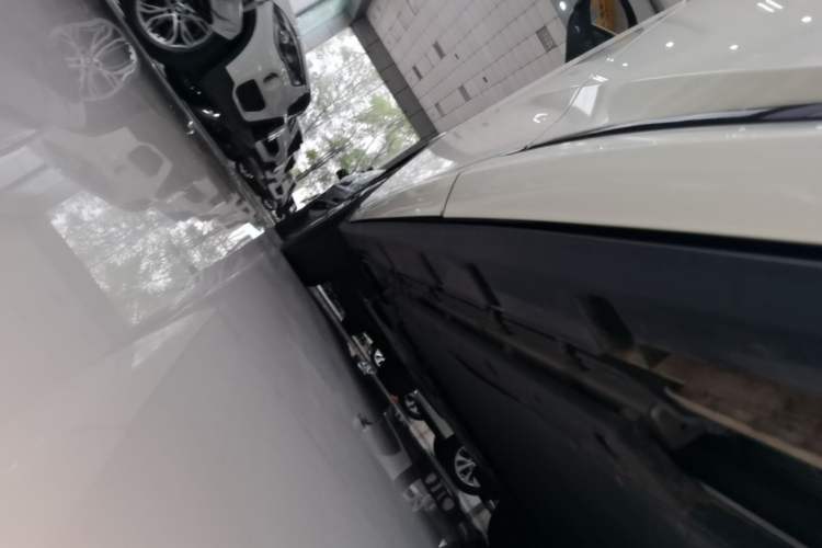 Used BYD Dolphin 2024 Honor Edition 420km Fashion Version Left Side Sill