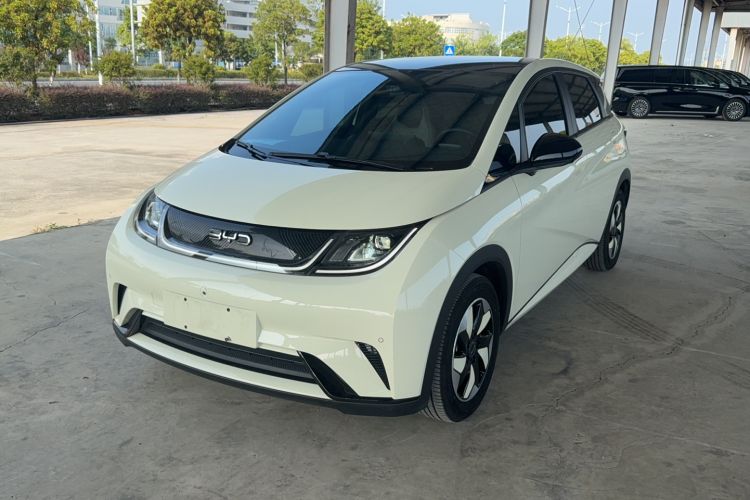 BYD Dolphin 2024 Honor Edition 420km Fashion Version