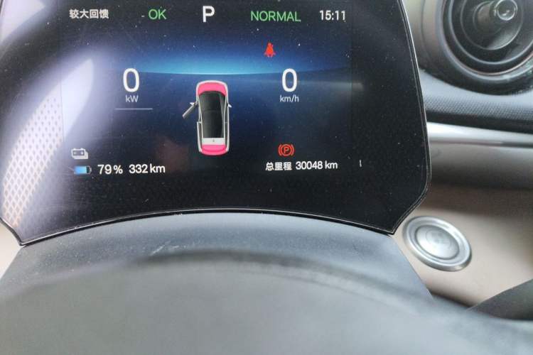 Used BYD Dolphin 2024 Honor Edition 420km Freedom Version Odometer Close Up