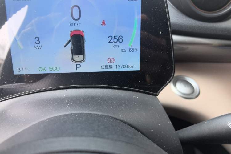 Used BYD Dolphin 2024 Honor Edition 420km Fashion Version Odometer Close Up