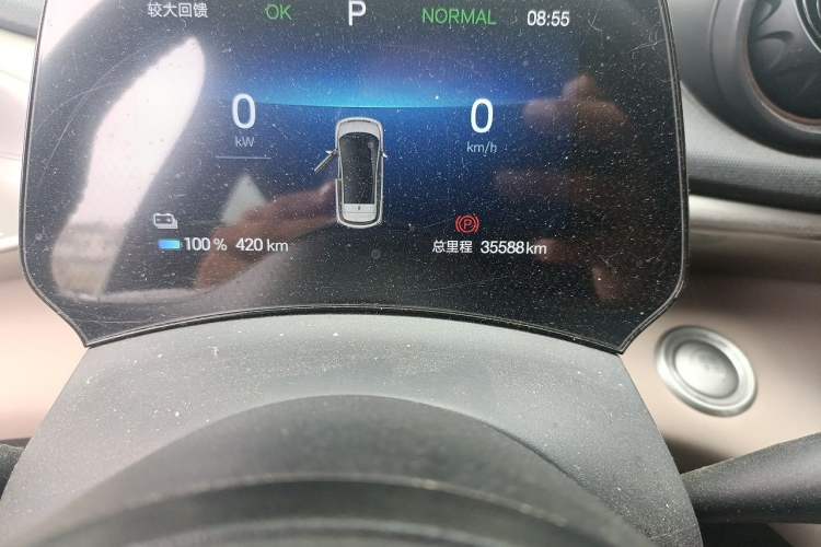 Used BYD Dolphin 2024 Honor Edition 420km Freedom Version Odometer Close Up