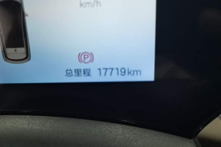 Used BYD Dolphin 2024 Honor Edition 420km Fashion Version Odometer Close Up