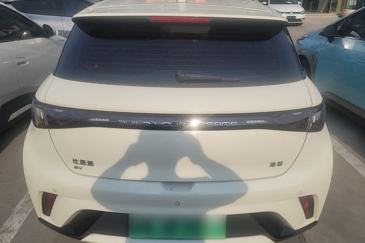 Used BYD Dolphin 2024 Honor Edition 420km Freedom Version Rear