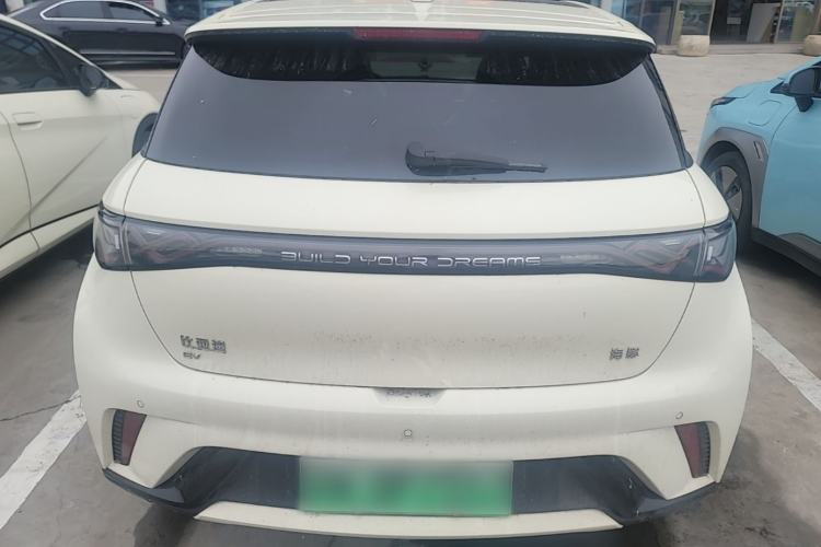 Used BYD Dolphin 2024 Honor Edition 420km Fashion Version Rear