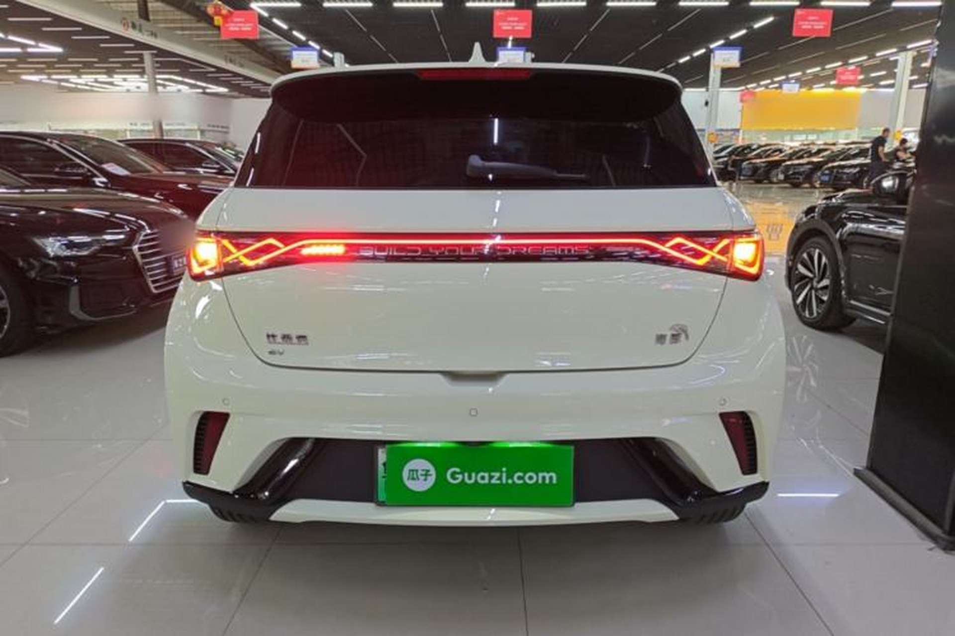 Used BYD Dolphin 2024 Honor Edition 420km Freedom Version Rear