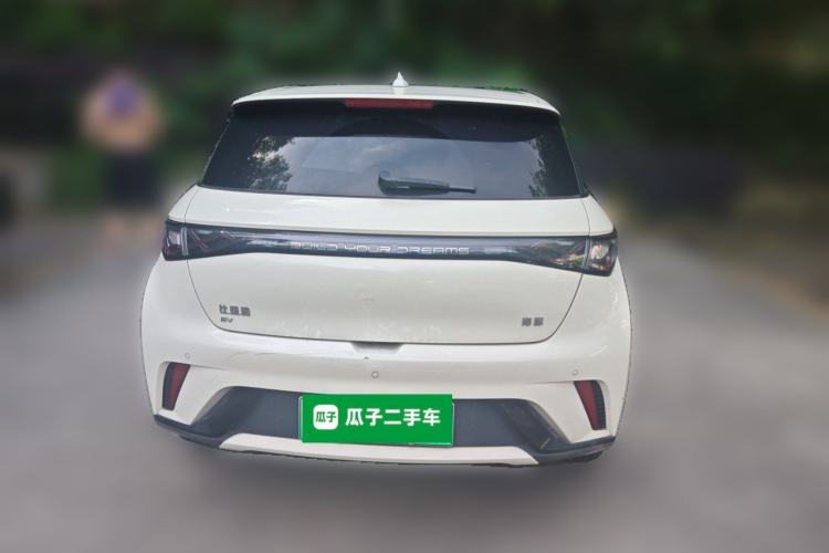 Used BYD Dolphin 2024 Honor Edition 420km Fashion Version Rear